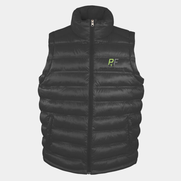 R193M Ice Bird Padded Gilet Thumbnail